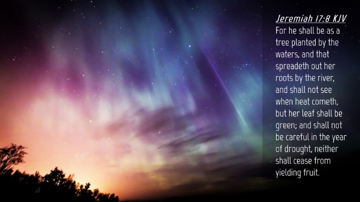Picture 04 - Jeremiah 17:8 KJV Desktop Wallpaper - For he shall be as a tree planted by the waters, - Desktop Bible Verse Wallpaper
