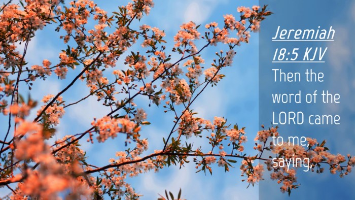 Picture 04 - Jeremiah 18:5 KJV Desktop Wallpaper - Then the word of the LORD came to me, - Desktop Bible Verse Wallpaper
