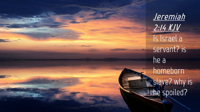 Picture 04 - Jeremiah 2:14 KJV Desktop Wallpaper - Is Israel a servant? is he a homeborn slave? why - Desktop Bible Verse Wallpaper