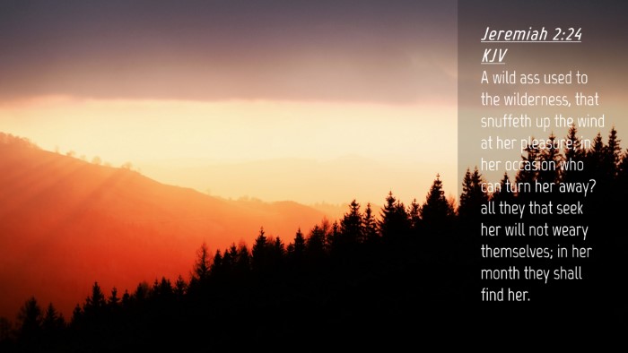 Picture 04 - Jeremiah 2:24 KJV Desktop Wallpaper - A wild ass used to the wilderness, that snuffeth - Desktop Bible Verse Wallpaper