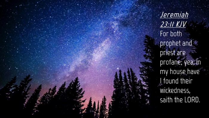Picture 04 - Jeremiah 23:11 KJV Desktop Wallpaper - For both prophet and priest are profane; yea, in - Desktop Bible Verse Wallpaper