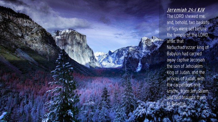 Picture 04 - Jeremiah 24:1 KJV Desktop Wallpaper - The LORD shewed me, and, behold, two baskets of - Desktop Bible Verse Wallpaper