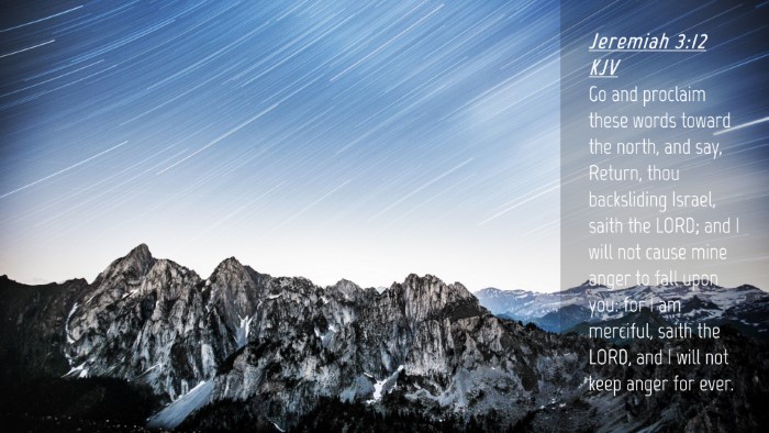 Picture 04 - Jeremiah 3:12 KJV Desktop Wallpaper - Go and proclaim these words toward the north, and - Desktop Bible Verse Wallpaper