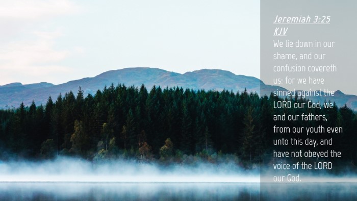 Picture 04 - Jeremiah 3:25 KJV Desktop Wallpaper - We lie down in our shame, and our confusion - Desktop Bible Verse Wallpaper
