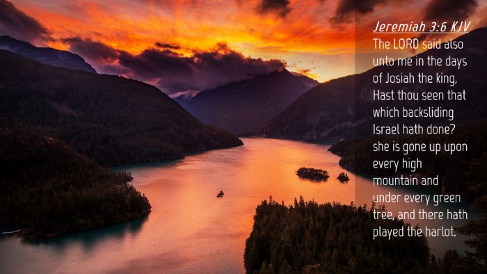 Picture 04 - Jeremiah 3:6 KJV Desktop Wallpaper - The LORD said also unto me in the days of Josiah - Desktop Bible Verse Wallpaper