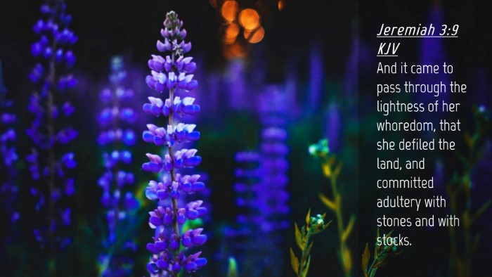 Picture 04 - Jeremiah 3:9 KJV Desktop Wallpaper - And it came to pass through the lightness of her - Desktop Bible Verse Wallpaper