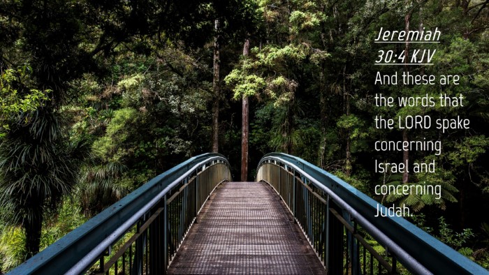 Picture 04 - Jeremiah 30:4 KJV Desktop Wallpaper - And these are the words that the LORD spake - Desktop Bible Verse Wallpaper