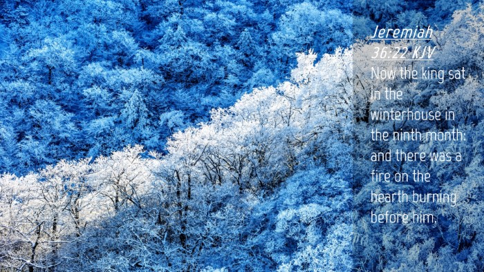 Picture 04 - Jeremiah 36:22 KJV Desktop Wallpaper - Now the king sat in the winterhouse in the ninth - Desktop Bible Verse Wallpaper