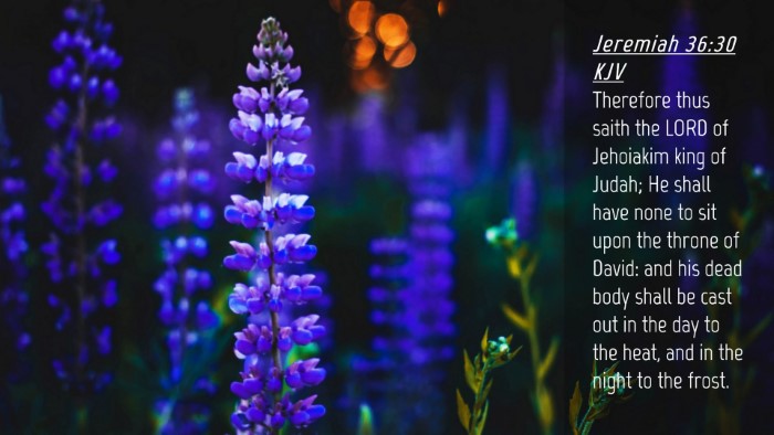 Picture 04 - Jeremiah 36:30 KJV Desktop Wallpaper - Therefore thus saith the LORD of Jehoiakim king - Desktop Bible Verse Wallpaper