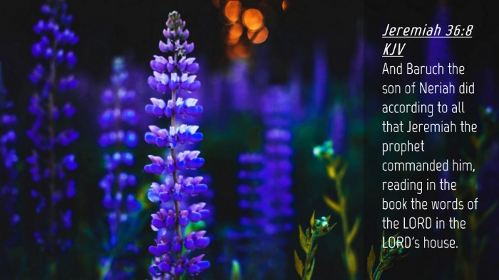 Picture 04 - Jeremiah 36:8 KJV Desktop Wallpaper - And Baruch the son of Neriah did according to all - Desktop Bible Verse Wallpaper