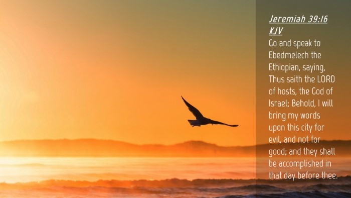 Picture 04 - Jeremiah 39:16 KJV Desktop Wallpaper - Go and speak to Ebedmelech the Ethiopian, saying, - Desktop Bible Verse Wallpaper