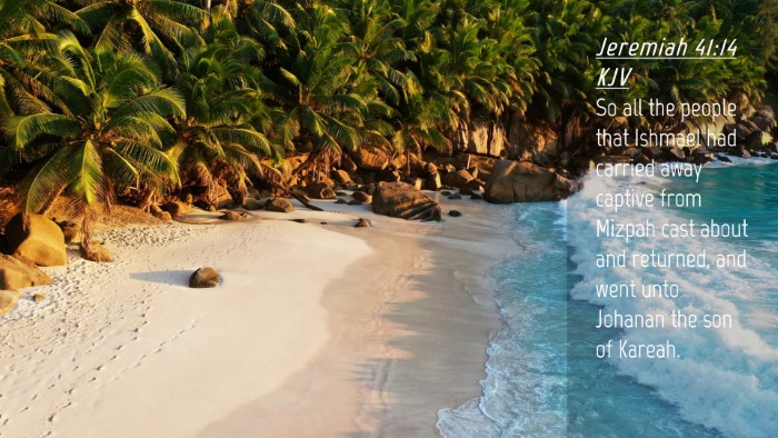 Picture 04 - Jeremiah 41:14 KJV Desktop Wallpaper - So all the people that Ishmael had carried away - Desktop Bible Verse Wallpaper