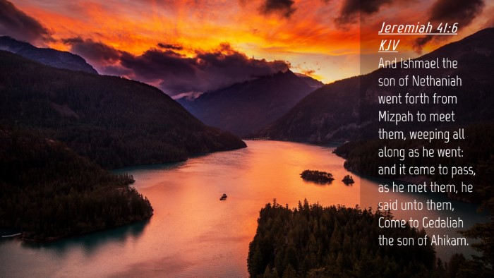 Picture 04 - Jeremiah 41:6 KJV Desktop Wallpaper - And Ishmael the son of Nethaniah went forth from - Desktop Bible Verse Wallpaper