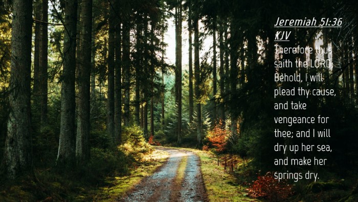 Picture 04 - Jeremiah 51:36 KJV Desktop Wallpaper - Therefore thus saith the LORD; Behold, I will - Desktop Bible Verse Wallpaper