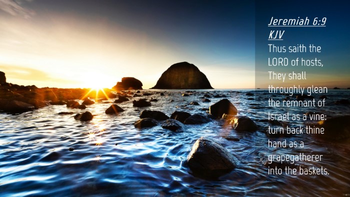 Picture 04 - Jeremiah 6:9 KJV Desktop Wallpaper - Thus saith the LORD of hosts, They shall - Desktop Bible Verse Wallpaper