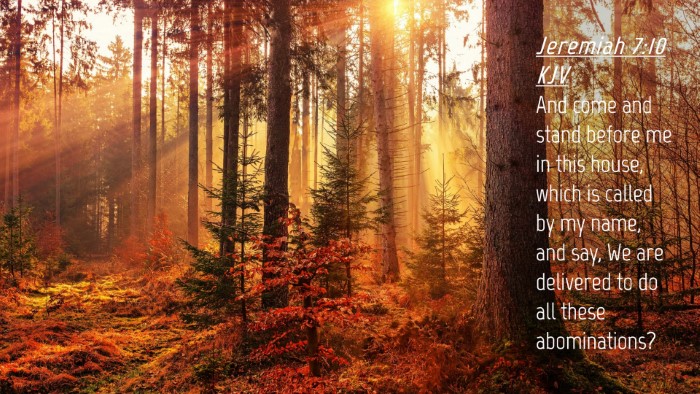 Picture 04 - Jeremiah 7:10 KJV Desktop Wallpaper - And come and stand before me in this house, which - Desktop Bible Verse Wallpaper