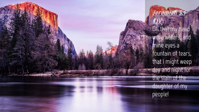 Picture 04 - Jeremiah 9:1 KJV Desktop Wallpaper - Oh that my head were waters, and mine eyes a - Desktop Bible Verse Wallpaper