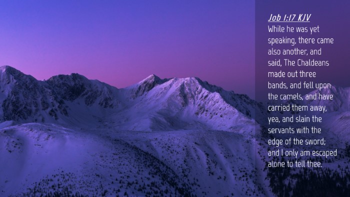 Picture 04 - Job 1:17 KJV Desktop Wallpaper - While he was yet speaking, there came also - Desktop Bible Verse Wallpaper
