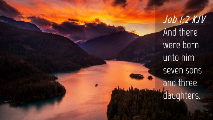 Picture 04 - Job 1:2 KJV Desktop Wallpaper - And there were born unto him seven sons and three - Desktop Bible Verse Wallpaper