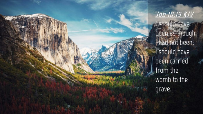 Picture 04 - Job 10:19 KJV Desktop Wallpaper - I should have been as though I had not been; I - Desktop Bible Verse Wallpaper