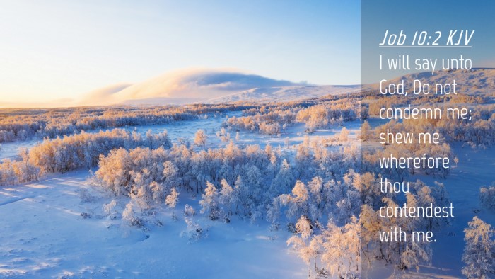 Picture 04 - Job 10:2 KJV Desktop Wallpaper - I will say unto God, Do not condemn me; shew me - Desktop Bible Verse Wallpaper