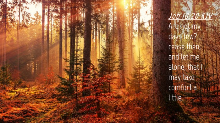 Picture 04 - Job 10:20 KJV Desktop Wallpaper - Are not my days few? cease then, and let me - Desktop Bible Verse Wallpaper