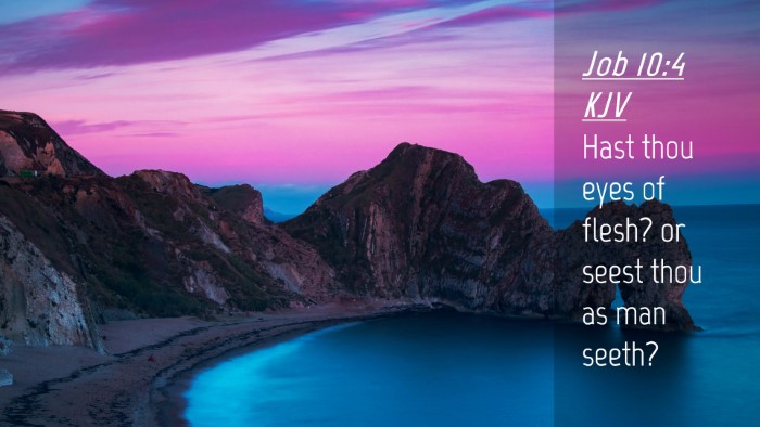 Picture 04 - Job 10:4 KJV Desktop Wallpaper - Hast thou eyes of flesh? or seest thou as man - Desktop Bible Verse Wallpaper