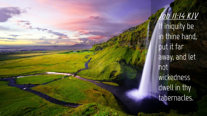 Picture 04 - Job 11:14 KJV Desktop Wallpaper - If iniquity be in thine hand, put it far away, - Desktop Bible Verse Wallpaper