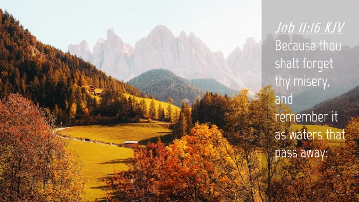 Picture 04 - Job 11:16 KJV Desktop Wallpaper - Because thou shalt forget thy misery, and - Desktop Bible Verse Wallpaper