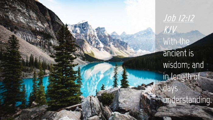 Picture 04 - Job 12:12 KJV Desktop Wallpaper - With the ancient is wisdom; and in length of days - Desktop Bible Verse Wallpaper