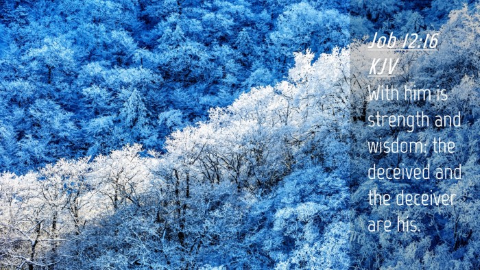 Picture 04 - Job 12:16 KJV Desktop Wallpaper - With him is strength and wisdom: the deceived and - Desktop Bible Verse Wallpaper