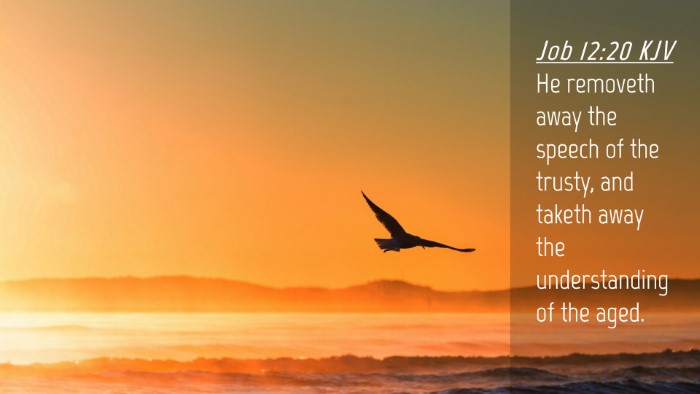Picture 04 - Job 12:20 KJV Desktop Wallpaper - He removeth away the speech of the trusty, and - Desktop Bible Verse Wallpaper