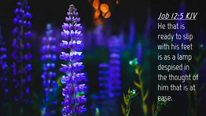 Picture 04 - Job 12:5 KJV Desktop Wallpaper - He that is ready to slip with his feet is as a - Desktop Bible Verse Wallpaper