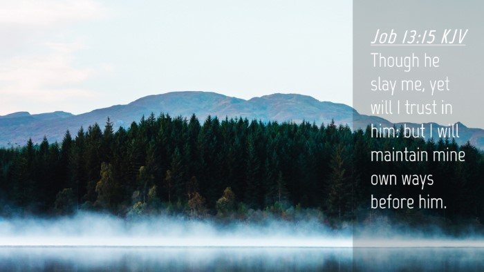 Picture 04 - Job 13:15 KJV Desktop Wallpaper - Though he slay me, yet will I trust in him: but I - Desktop Bible Verse Wallpaper