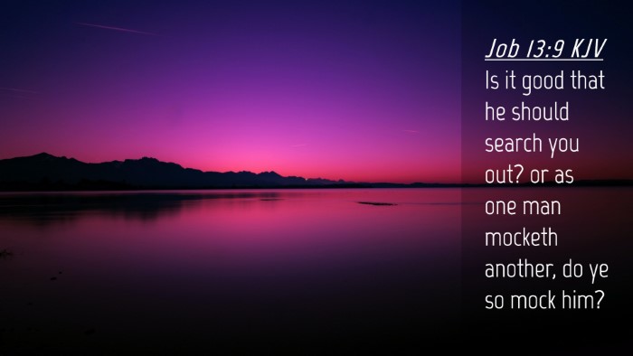 Picture 04 - Job 13:9 KJV Desktop Wallpaper - Is it good that he should search you out? or as - Desktop Bible Verse Wallpaper