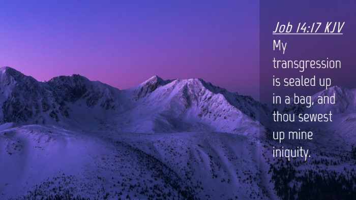 Picture 04 - Job 14:17 KJV Desktop Wallpaper - My transgression is sealed up in a bag, and thou - Desktop Bible Verse Wallpaper