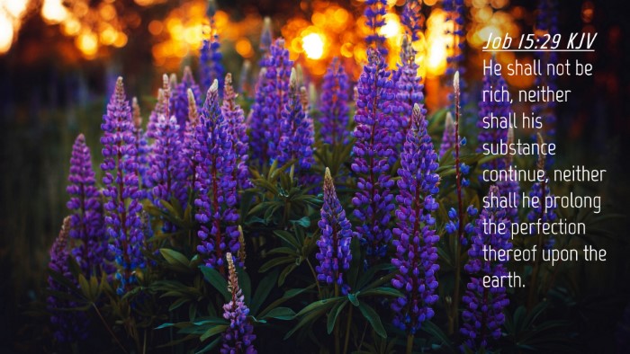 Picture 04 - Job 15:29 KJV Desktop Wallpaper - He shall not be rich, neither shall his substance - Desktop Bible Verse Wallpaper