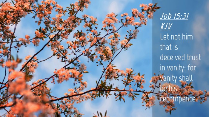 Picture 04 - Job 15:31 KJV Desktop Wallpaper - Let not him that is deceived trust in vanity: for - Desktop Bible Verse Wallpaper