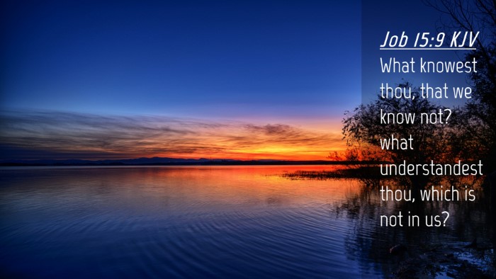 Picture 04 - Job 15:9 KJV Desktop Wallpaper - What knowest thou, that we know not? what - Desktop Bible Verse Wallpaper