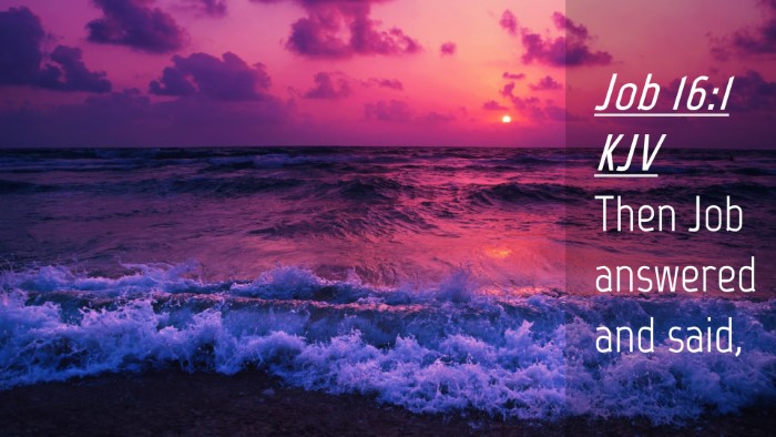 Picture 04 - Job 16:1 KJV Desktop Wallpaper - Then Job answered and - Desktop Bible Verse Wallpaper