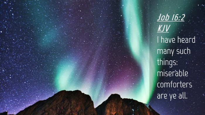 Picture 04 - Job 16:2 KJV Desktop Wallpaper - I have heard many such things: miserable - Desktop Bible Verse Wallpaper