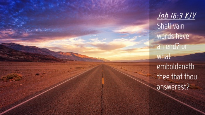 Picture 04 - Job 16:3 KJV Desktop Wallpaper - Shall vain words have an end? or what emboldeneth - Desktop Bible Verse Wallpaper
