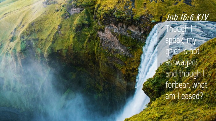 Picture 04 - Job 16:6 KJV Desktop Wallpaper - Though I speak, my grief is not asswaged: and - Desktop Bible Verse Wallpaper
