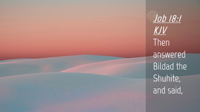 Picture 04 - Job 18:1 KJV Desktop Wallpaper - Then answered Bildad the Shuhite, and - Desktop Bible Verse Wallpaper