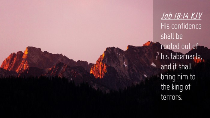 Picture 04 - Job 18:14 KJV Desktop Wallpaper - His confidence shall be rooted out of his - Desktop Bible Verse Wallpaper