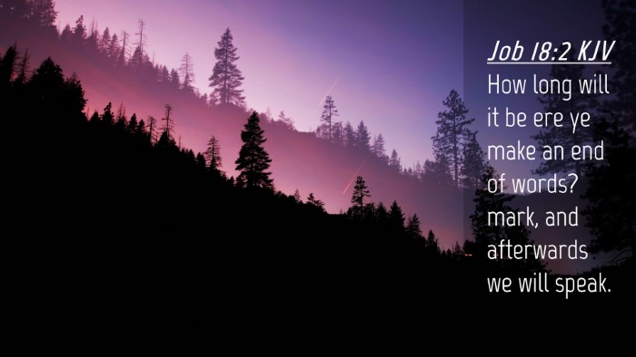 Picture 04 - Job 18:2 KJV Desktop Wallpaper - How long will it be ere ye make an end of words? - Desktop Bible Verse Wallpaper
