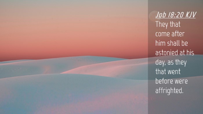 Picture 04 - Job 18:20 KJV Desktop Wallpaper - They that come after him shall be astonied at his - Desktop Bible Verse Wallpaper