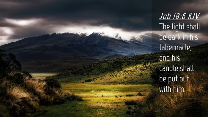 Picture 04 - Job 18:6 KJV Desktop Wallpaper - The light shall be dark in his tabernacle, and - Desktop Bible Verse Wallpaper