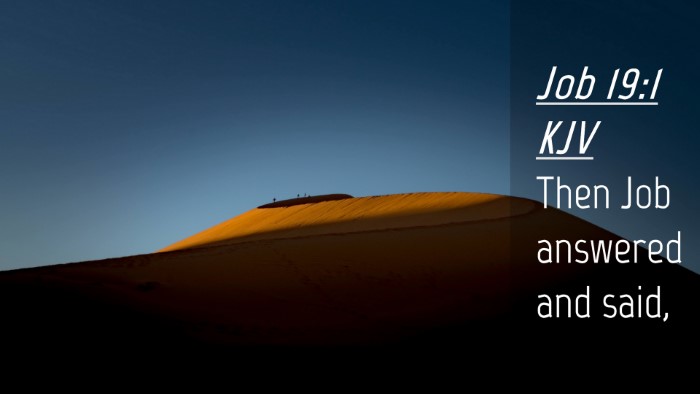 Picture 04 - Job 19:1 KJV Desktop Wallpaper - Then Job answered and - Desktop Bible Verse Wallpaper
