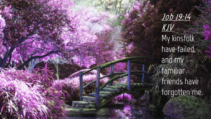 Picture 04 - Job 19:14 KJV Desktop Wallpaper - My kinsfolk have failed, and my familiar friends - Desktop Bible Verse Wallpaper